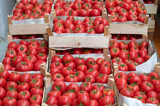 istock Tomato Farmers Market 1283319108