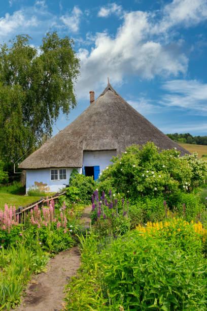 Thatched, Reed roofed house, Pfarrwitwenhaus, Gross Zicker, Moenchsgut, Ruegen Island, Mecklenburg-Western-Pomerania, Germany, Europe