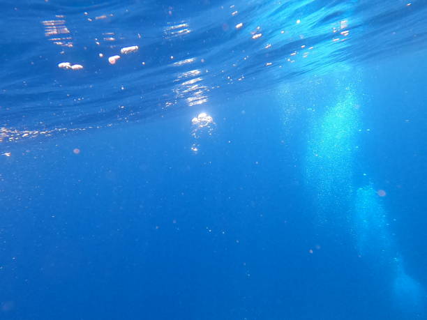 istock Snorkel trip with divers. Crete, Greece 1283320811