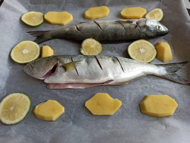 istock Oven cooked bluefish stealhead fish dish in Istanbul turkey 1283320978