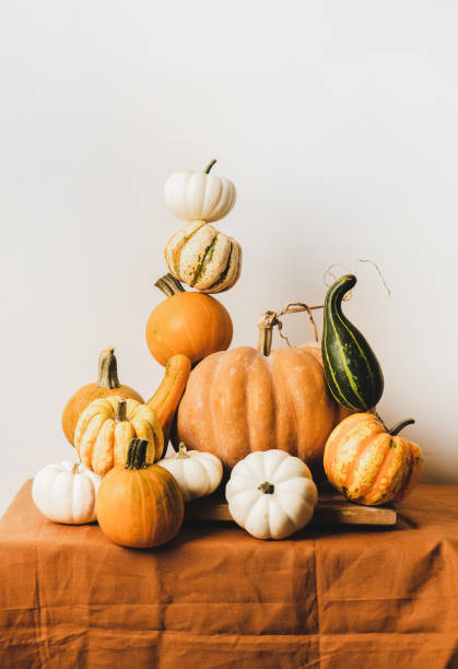 istock Colorful pumpkins in pyramid composition over white wall 1283323101