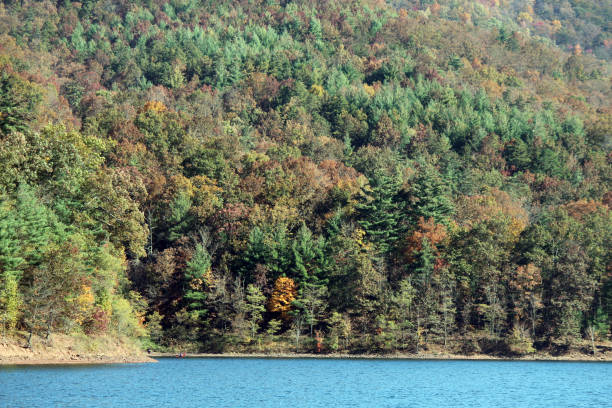 Beautiful Fall Foliage in Blue Ridge Mountains Fall foliage on the hills of the Blue Ridge Mountain range at Switzer Lake in Virginia, USA. A tiny speck of a red kayak is visible on the left side. This lake is in the George Washington National Forest and is the water supply for local communities. george washington national forest stock pictures, royalty-free photos & images