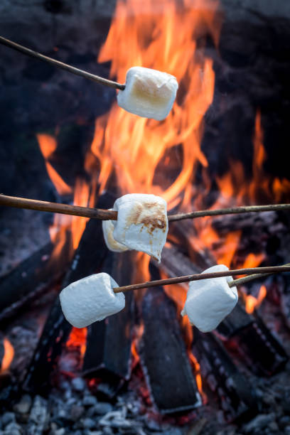 istock Hot marshmallows on stick over the bonfire in summer 1283324084