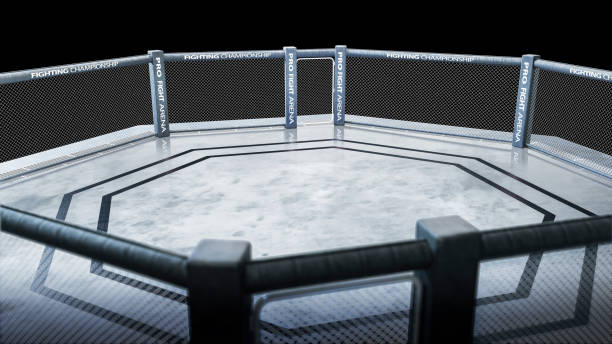 istock MAA octagon top view. Fighting Championship. Isolated MMA octagon. 3D rendering 1283324670