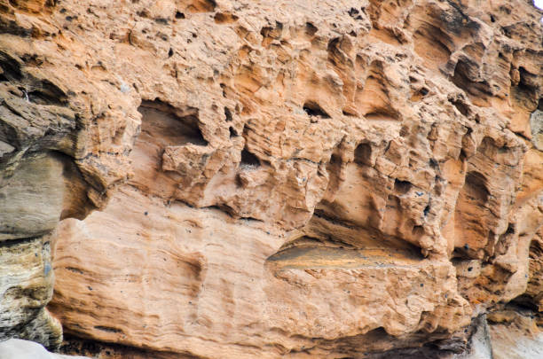 Volcanic Rock Basaltic Formation in Canary Islands
