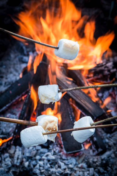 istock Delicious and tasty marshmallows on stick over bonfire 1283325916