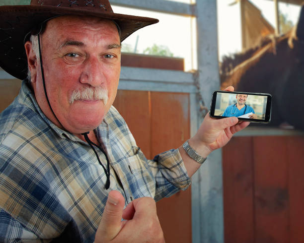 An old farmer appreciates the benefits of telemedicine. He contacts the remote doctor by mobile phone directly from his stable. stock photo