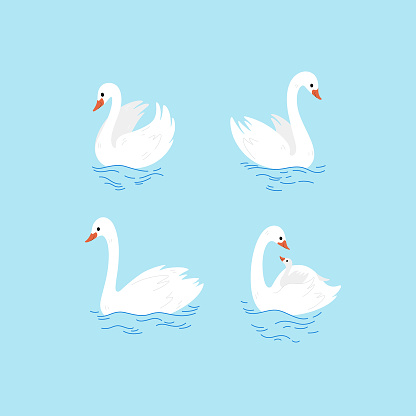 Cartoon swan sketch line icon. Сute bird icons set. Childish print for nursery, kids apparel, poster, postcard, pattern.