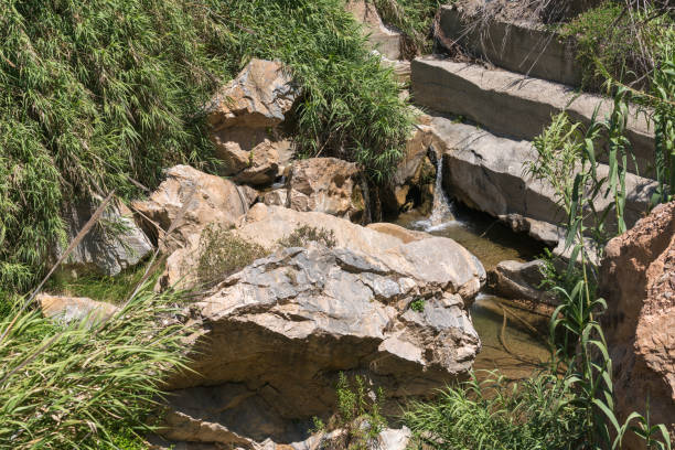 Water flowing through a river in southern Spain, it is a mountainous area, there are trees, bushes and grass, on the ground there are stones