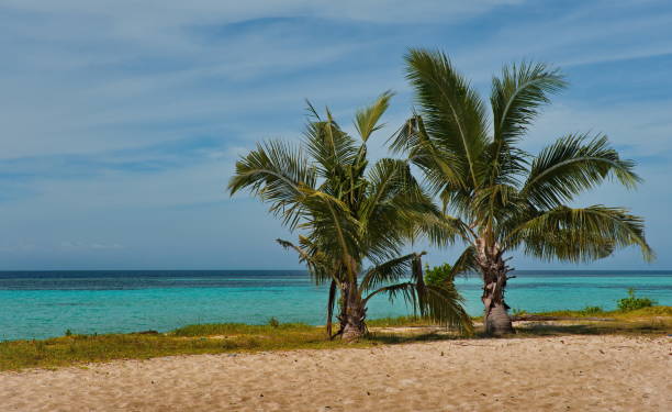 istock On the sandy shore of a coral island 1283330023