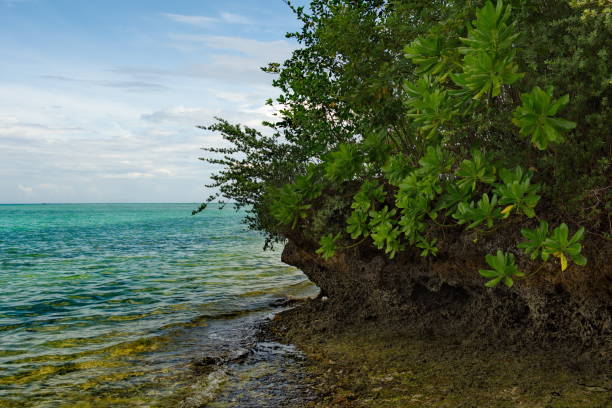 istock On the sandy shore of a coral island 1283330059