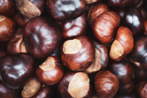 Ripe chestnuts close up. Food background. Top view. Selective focus.