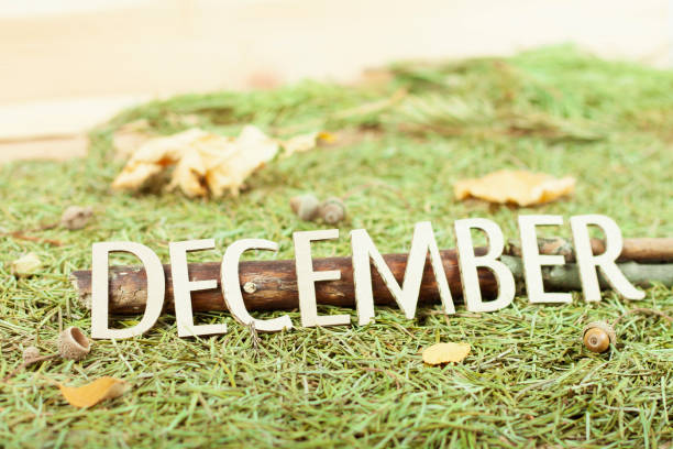 Word December corrugated cardboard saddle is located on Christmas tree needles stock photo