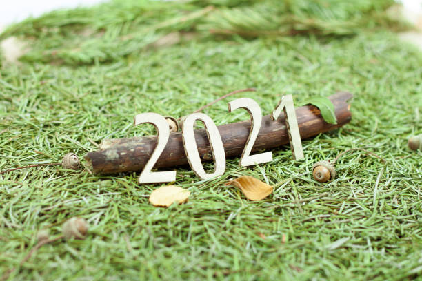 new 2021 year corrugated saddle on autumn mood background stock photo