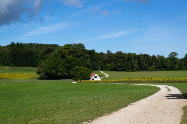 A picture, I've made during a walk at the swabian jura