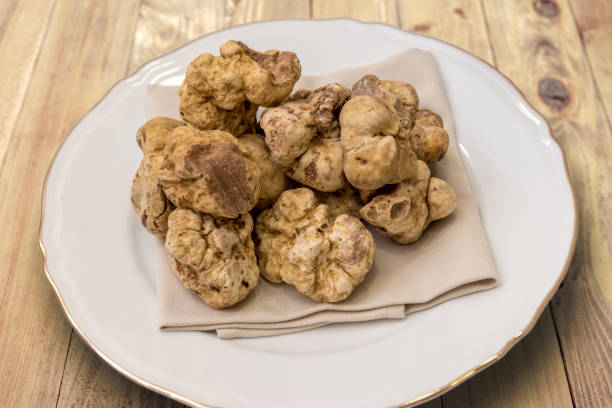 white truffles from alba - white truffle imagens e fotografias de stock