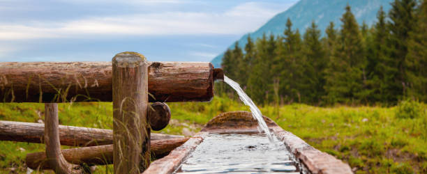 mountain fountain made from a wooden trunk. well and water trough made out of tree trunk in the alps. natural tree trunk fountain. - wetterstein mountains bavaria mountain forest imagens e fotografias de stock