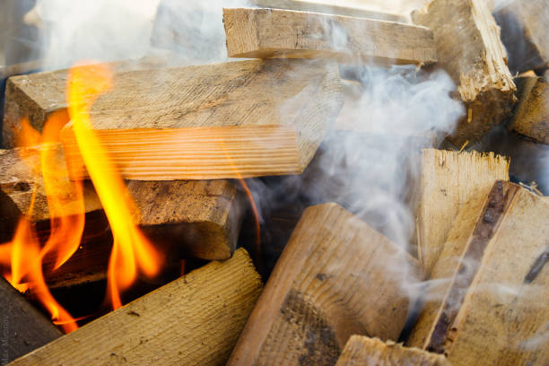 Tongues of orange flame cover the firewood in the fire. Bonfire made of firewood in nature. Campfire in the scout forest.