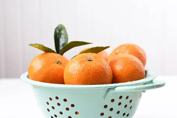 Closeup of a colander filled with fresh picked mandarin oranges.