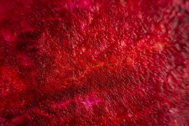 Macro background of beetroot sliced on white background