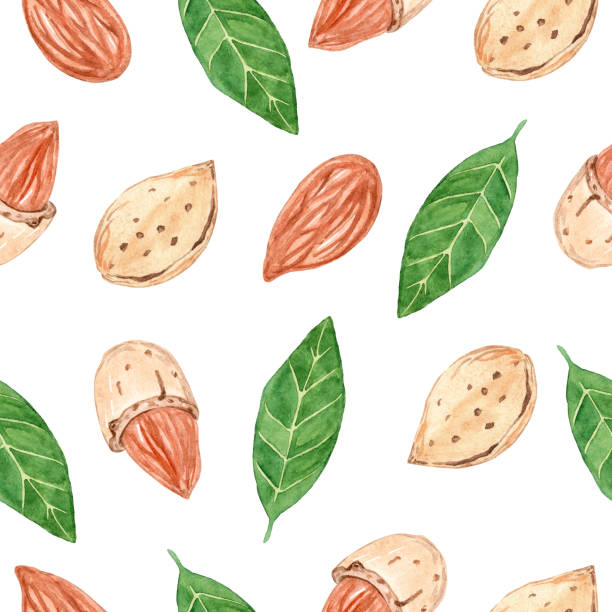 aquarell mandelnüsse nahtloses muster auf weißem hintergrund - peeled almond backgrounds dried food stock-grafiken, -clipart, -cartoons und -symbole