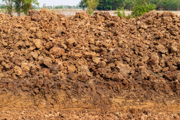 istock Lateritic soil was dug up as a barrier. 1283341194