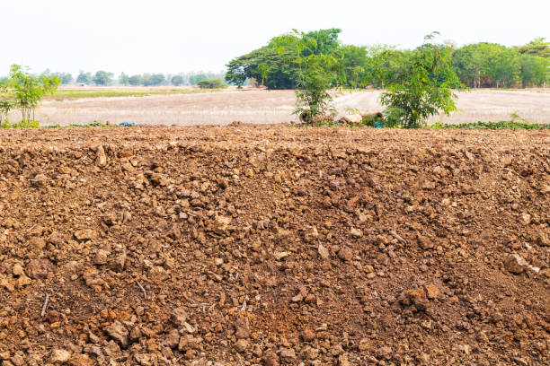 istock Lateritic soil was dug up as a barrier. 1283341202