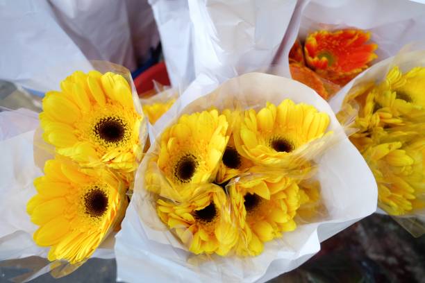 istock In selective focus yellow gerbera flower blossom in a white paper packaging and selling at the flora market 1283347111