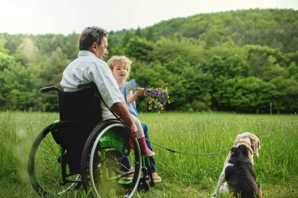 Photo of Small girl with senior grandfather in wheelchair and dog on a walk on meadow in nature.