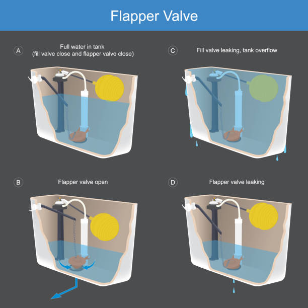 Flapper Valve. Illustration explain the method working a flapper valve which is composition important of toilet bow."n Flapper Valve. Illustration explain the method working a flapper valve which is composition important of toilet bow."n flushing valve public restroom toilet stock illustrations