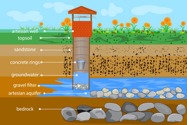 Artesian water well in cross section. Water resource. Artesian water and groundwater infographic. Well schematic diagram. Typical aquifer cross-section. Schematic of an artesian well. Water supply system. Stock vector illustration bedrock stock illustrations