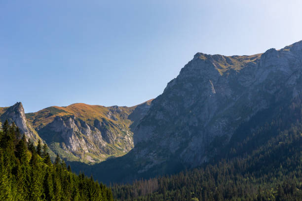 paisagem das montanhas tatra com giewont, saddle turnia, monk's turnie e wielka turnia, vistas de wielka polana malolacka glade no outono, polônia - poland mountain tatra mountains giewont - fotografias e filmes do acervo