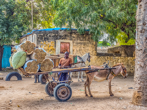 Nianing, Senegal - January 24, 2019: Donkey cart on  the senegalese road, a popular transportation way in Africa