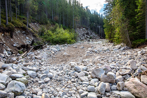 Dry stony riverbed in coniferous forest in Tatra Mountains, Poland.