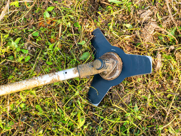 istock Lawn mower disc on a background of green grass. 1283360441