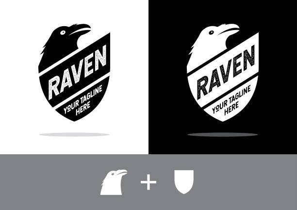 Black Raven Shield Shield and Raven. Shield design, vector with a black raven. raven securities stock illustrations