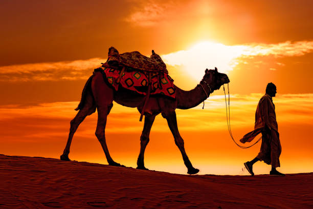 istock Cameleers, camel Drivers at sunset. Thar desert on sunset Jaisalmer, Rajasthan, India. 1283363203