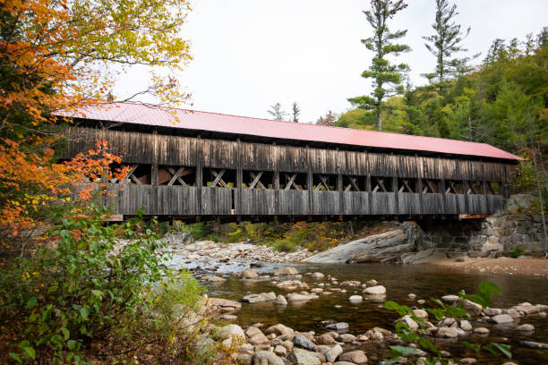 istock driving through foliage in New Hampshire 1283365663