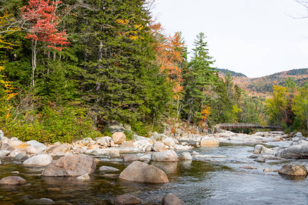 istock driving through foliage in New Hampshire 1283365693