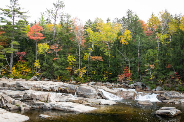istock driving through foliage in New Hampshire 1283366533
