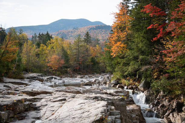 istock driving through foliage in New Hampshire 1283366823