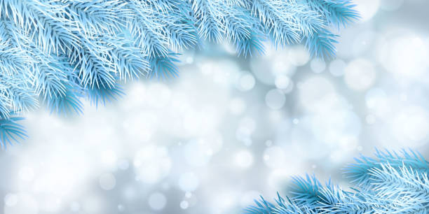 istock Festive Christmas or New Year Background. Blue Christmas Fir-Tree Branches. Holiday's Background. Vector illustration 1283366952