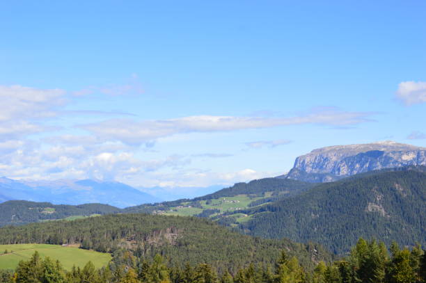 istock Cow to the Dolomites 1283368130
