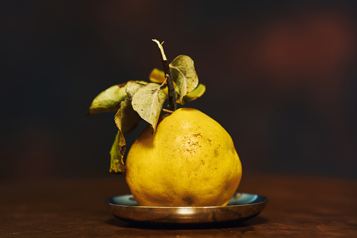 Quince in the iron plate on a dark background