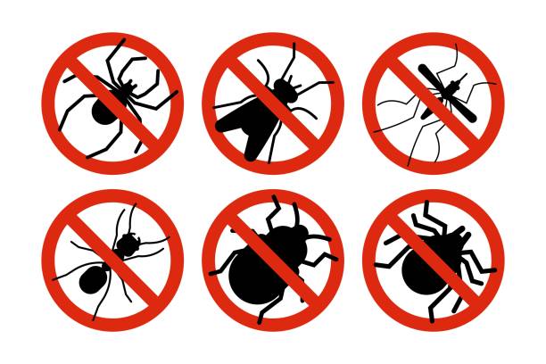 ilustrações de stock, clip art, desenhos animados e ícones de stop insects. tick, bugs and mosquito silhouettes. warning prohibited sign, anti insect vector icons - insect repellant