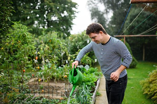 Side view of down syndrome adult man watering plants outdoors in vegetable garden, gardening concept.