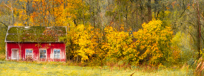 Red old abandoned outouse in in autumn colors, abandoned house