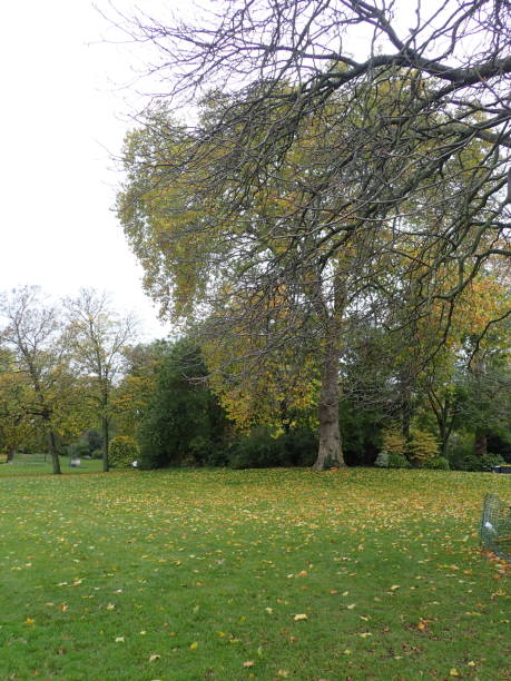 istock Park Montsouris under Lockdown / Paris, France 1283377974