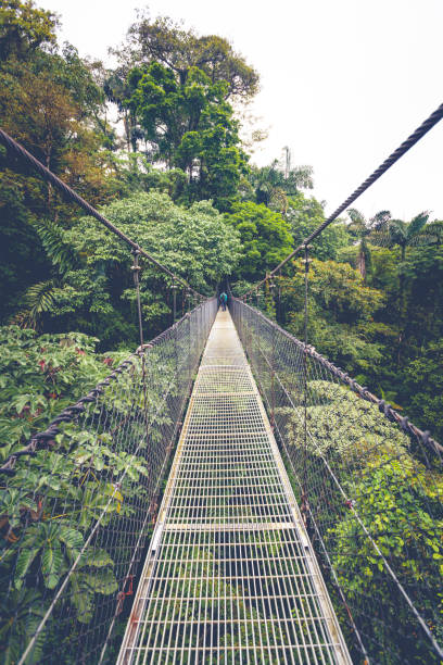 istock hanging bridges, costa rica 1283380749