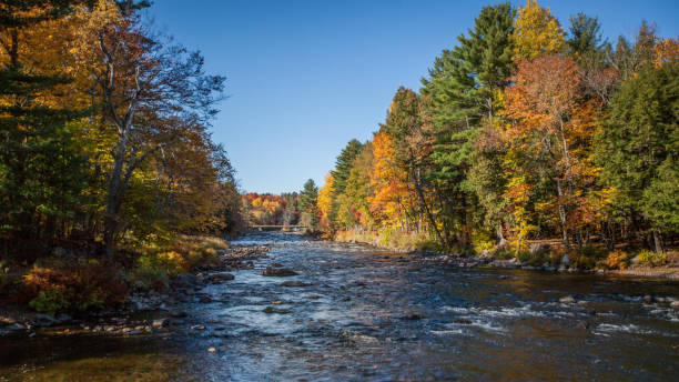 istock River in autumn. Autumn landscape. 1283384562